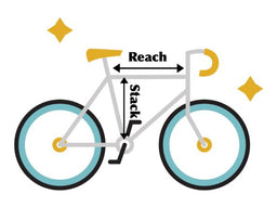 Men’s vs. Women’s Bikes: Is There Really a Difference?